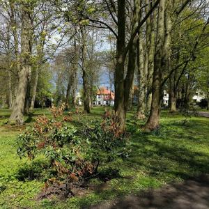 Kreyenbrück Abfahrt nach 100 m rechts Wunderburg P