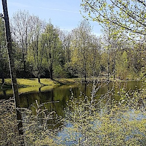 66panos66