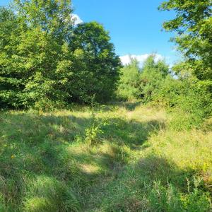 Leipzig FKK Zuschauer Sex :)