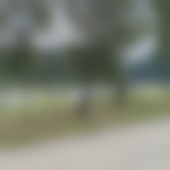 Mot68