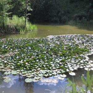 Geiler Treffpunkt donau ries