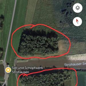 Wäldchen in 26935 Rodenkirchen