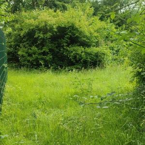 Am Bahnsteig Henrichshütte