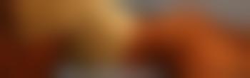 SpontanReal-