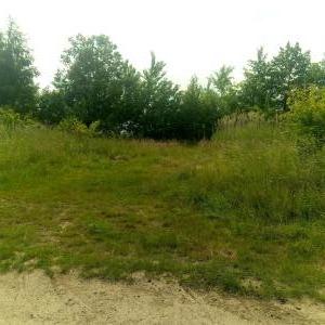 Stolzenau-Schinna an den Kiesteichen