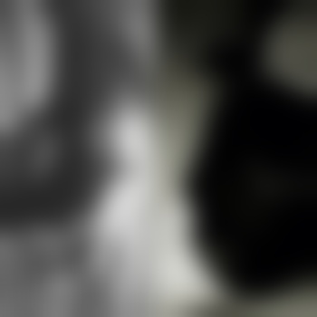 kleve33523
