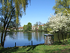 Schäfersee