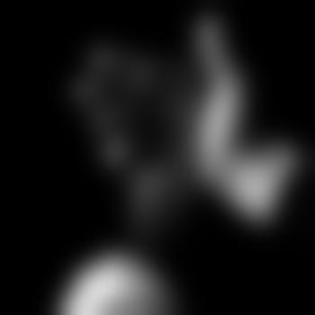 Sir_BelovedSub