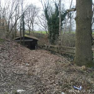 Herforder Str. Hundeplatz