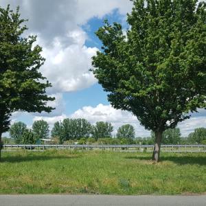 Hoyersburg Stapelteiche Parkplatz DAN-SAW