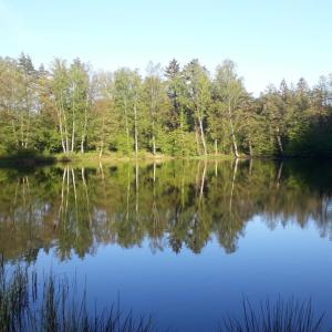 Treffen in Lindenau bei Schneeberg