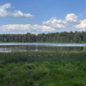 Am Großen Bullensee
