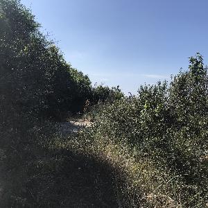 FKK Strand Kühlungsborn Ost hinter dem Bootshafen
