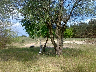 Am Kiessee