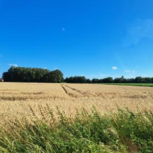 Spaziergänger parkplatz Halde Gladbeck Ellinghorst