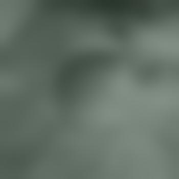 Epinephrin87