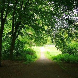 Thörls Park - Burgstraße