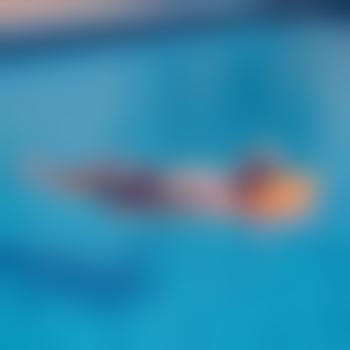 Fidde
