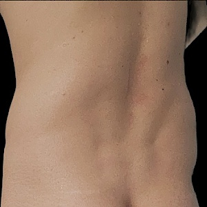 The-Stallion-wild