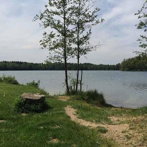 Almer Weiher Treff am großen Stein