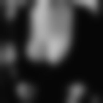 DeDi1978