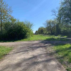 Parkplatz am Wisentgehege