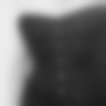 scarabaeus_x