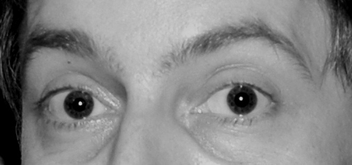 likedeeler1970