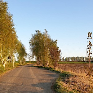 Straße zum Steinbruch Oberschöna