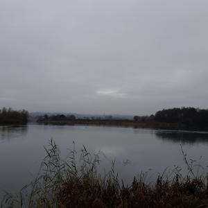 Höglinger