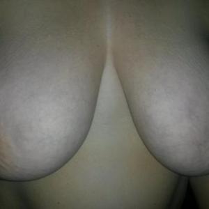 blackdeckhengstgesuc