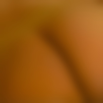 Entdeckungsreise