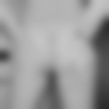 Geiler_6