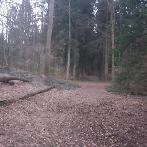 Waldparkplatz am Waldlehrpfad Lindau/Schönbühl