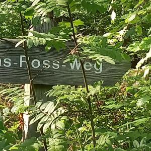 Burgwald
