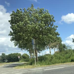 P&R Abfahrt A46 Heinsberg