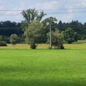 Baggersee Mosbach / Spalt