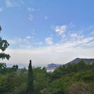 Blaubeerallee in Darmstadt Arheilgen. Richtung Bah