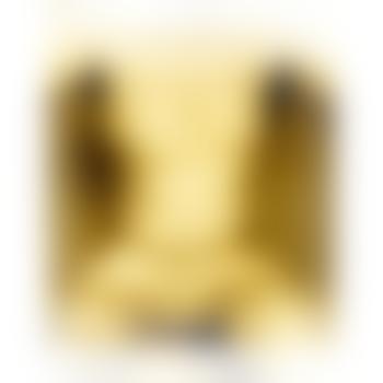 Ireidami