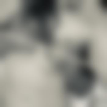 AO2923