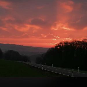 Bi Frauen Saarland/Rheinland Pfalz