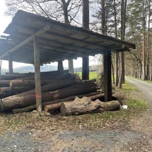 „Holz vor der Hütte“