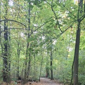 Clara-Zetkin-Park Leipzig