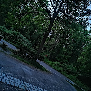 Kleiner Waldparkplatz Nahe dem U-See