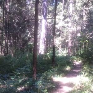 B85 richtung Pegnitz