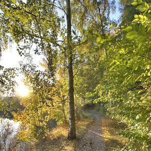 Wippra - Harzer Naturistenstieg