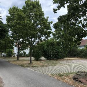 A65 LD-Zentrum Mitfahrerparkplatz Queichheim