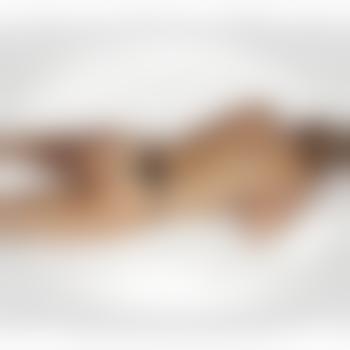 medi1503