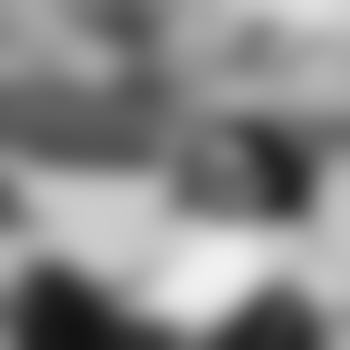 BerlinNorthFace