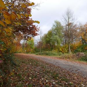 Parkplätze Haus Scheppen P1/P2